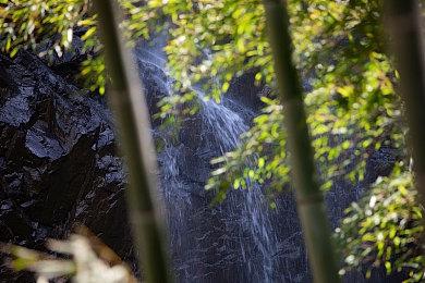 《弹球尖塔》Steam页面上线 支持简体中文